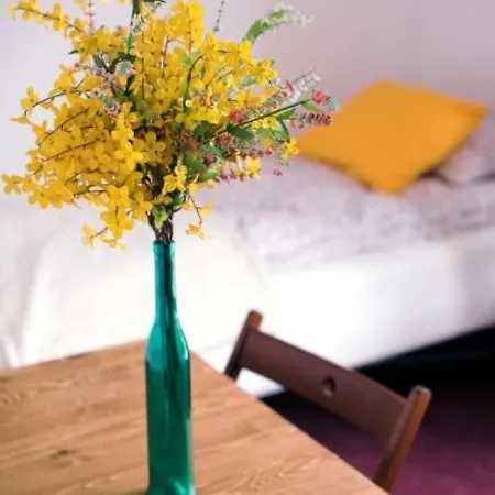 בית אירוח Abracadabra